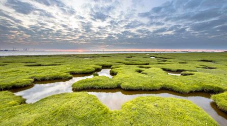 Herbsturlaub an der deutschen Nordseeküste