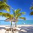 palmenstrand auf Mauritius
